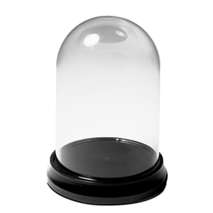 "3""Glass Display Dome & Base"