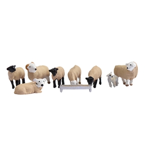 Sheep
