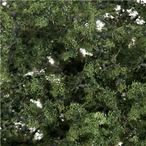 WF1129 Medium Green Shrubs & Saplings