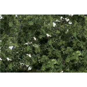 Medium Green Fine Leaf Foliage