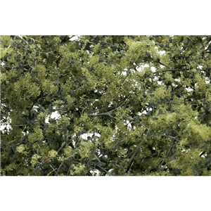 Olive Green Fine Leaf Foliage