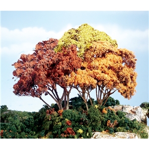 Autumn Mix Forest Canopy