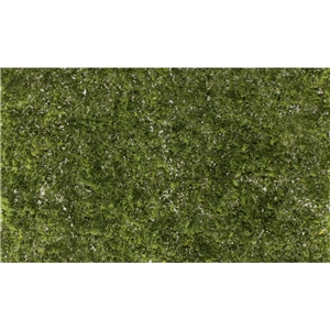 WG6493 Light Green Super Foliage