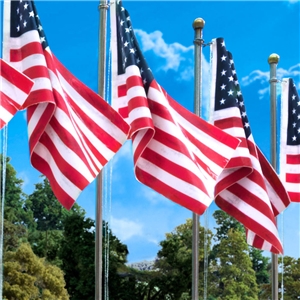 WJP5950 Small Flag Pole US