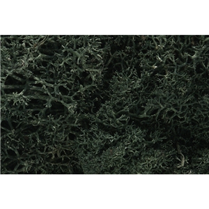 WL164 Dark Green Lichen