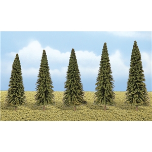 WSP4154 Evergreen Trees