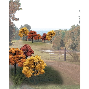 "2""-3"" Ready Made Fall Colours Deciduous Value Pack (23/Pk)"