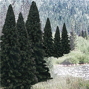 "2""-4"" Ready Made Evergreen Value Pack (18/Pk)"