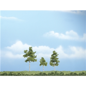 "1�""-3"" Premium Paper Birch (3/Pk)"