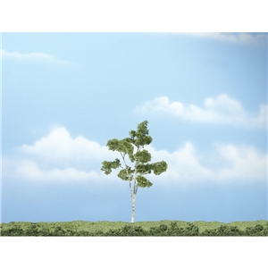 "4 1/8"" Premium Paper Birch (1/Pk)"