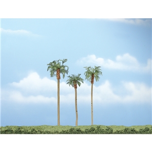 "3""-4�"" Premium Royal Palm (3/Pk)"