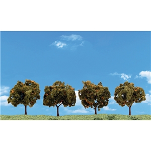 "2""-3"" Classic Orange Trees (4/Pk)"